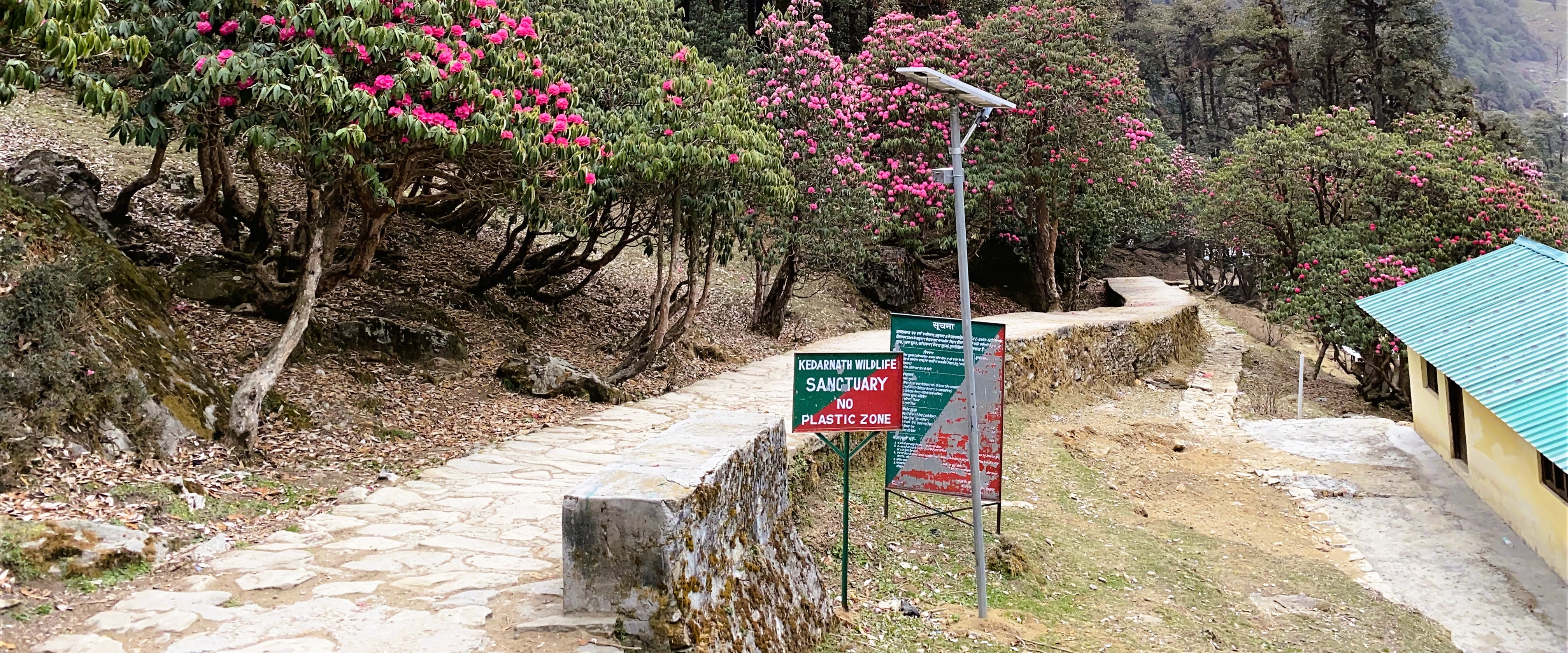 On the Tungnath Trail (Part 2)
