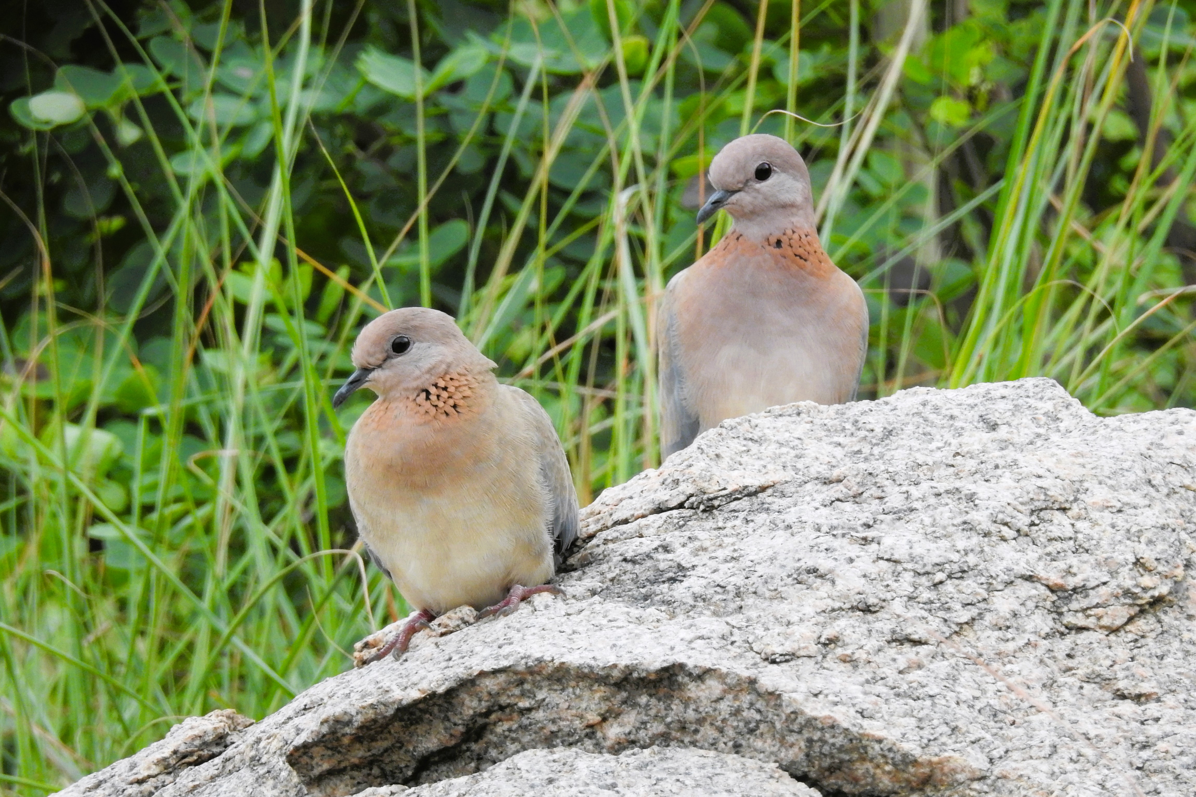 To a Happier New Year..