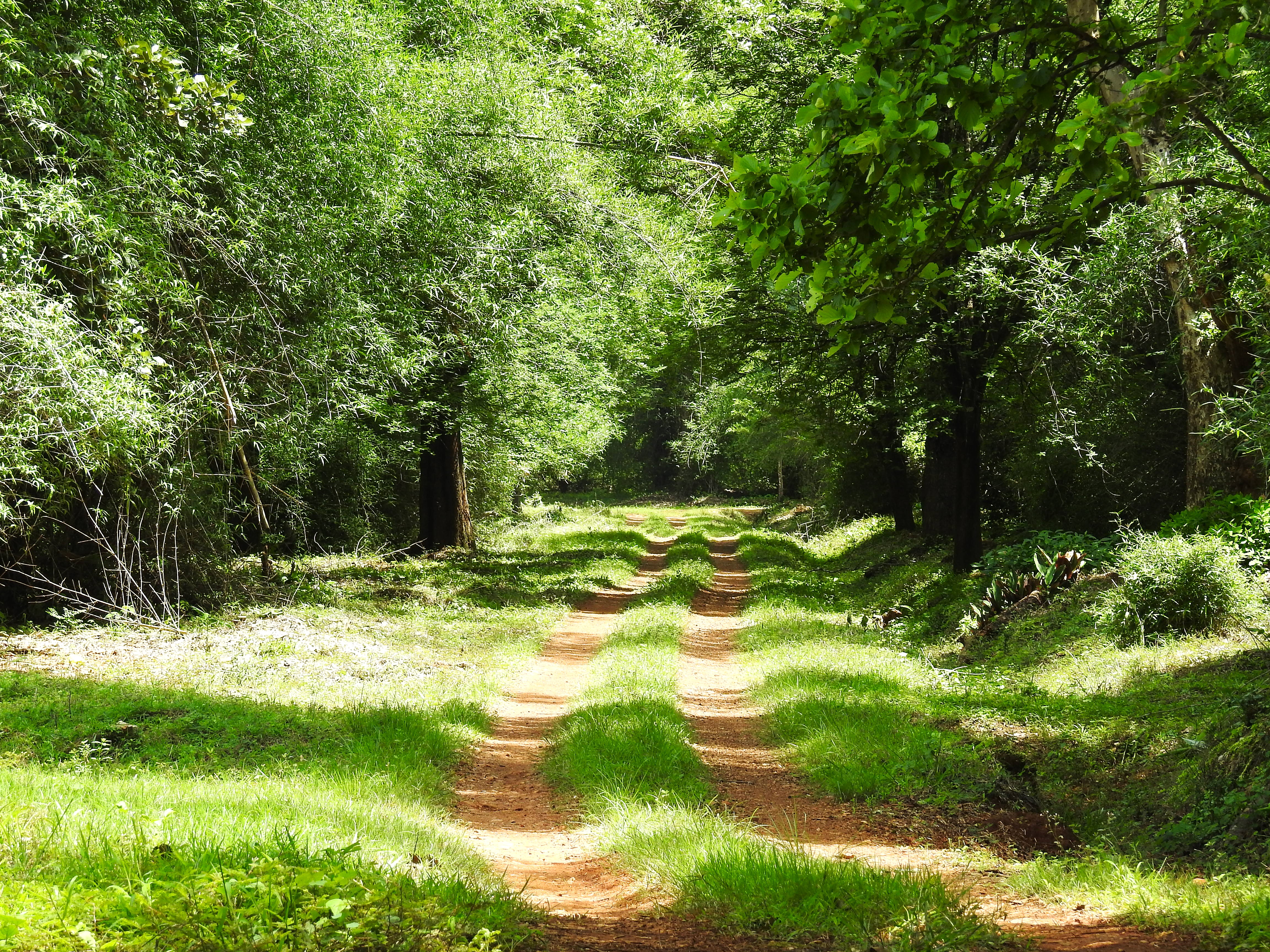 Into the Wild: The 11th Karnataka Bird Festival